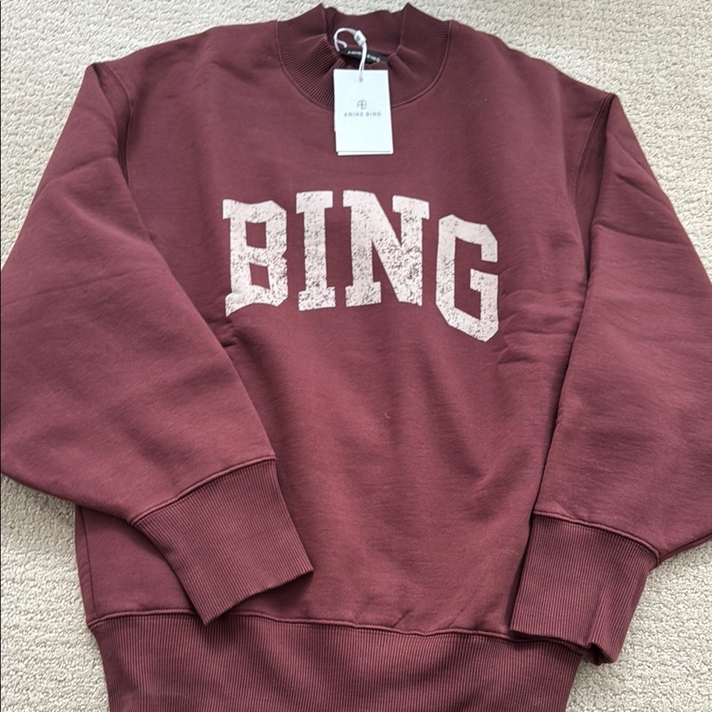 Anine Bing bradie sweatshirt